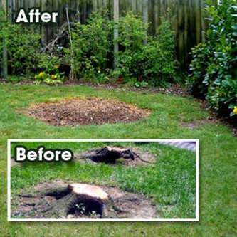 Stump Grinding and Removal Orange, CA